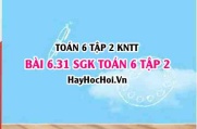 Bài 6.31 SGK Toán 6 tập 2 Kết nối tri thức